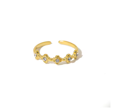 Ring 1